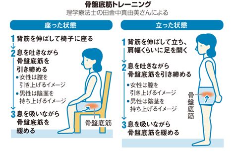 骨盤底筋トレーニングで尿漏れ改善、日常生活での体の使い方にも注意を