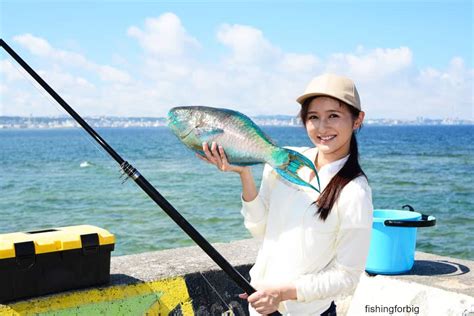 Fishing Japan – Fishing For Big