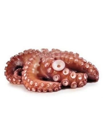 Comprar Pulpo Gallego Mariscos O Grove Env Os En H