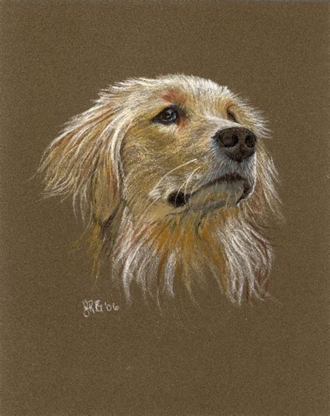 Pin By Pamela Pafford On Pastels Pastel Art Pet Portraiture Animal