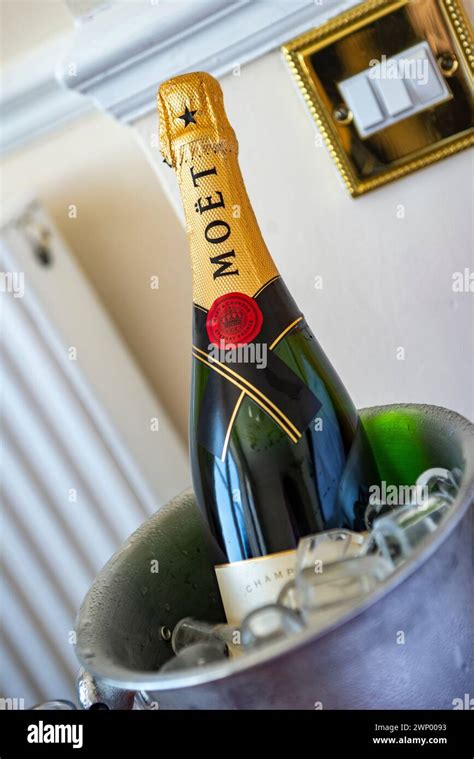 Bottle Of Champagne In An Ice Bucket Stock Photo Alamy