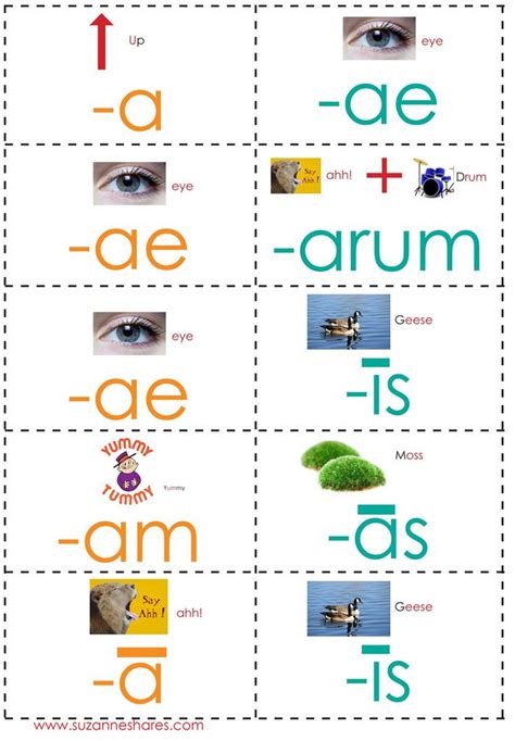 First Declension Noun Endings Diagram Quizlet