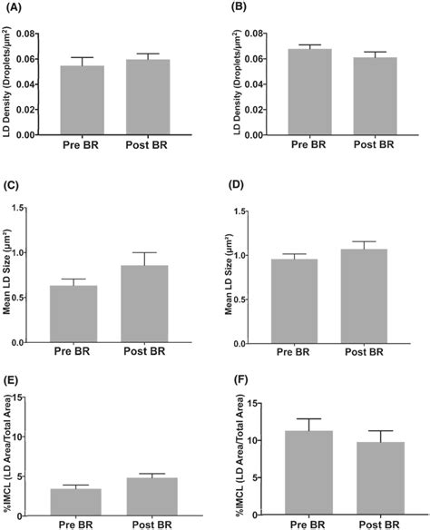 Intramyocellular Lipid Content Lipid Droplet Ld Density Ld Size And