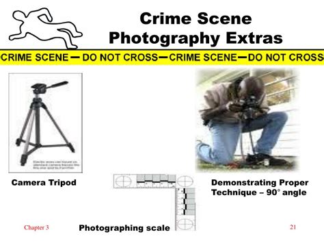 PPT - THE CRIME SCENE PowerPoint Presentation, free download - ID:4047902