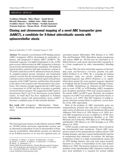 Cloning And Chromosomal Mapping Of A Novel Abc Transporter Gene Habc7 A Candidate For X