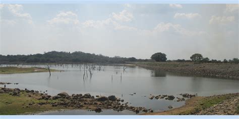 Water Levels In Anuradhapura Tanks Reduce Rapidly Daily News