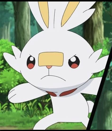 813 Scorbunny Screenshot Pokemon Cute Pokemon My Pokemon