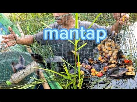 Angkat Bubu Ikan Di Sungai Kalimantan Episode 1 YouTube