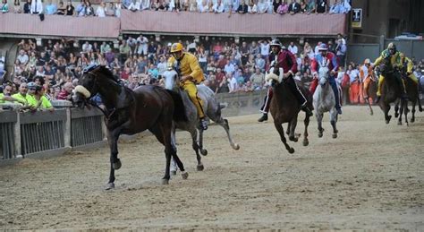 Palio Di Siena Vince Il Cavallo Scosso Senza Fantino Della Contrada