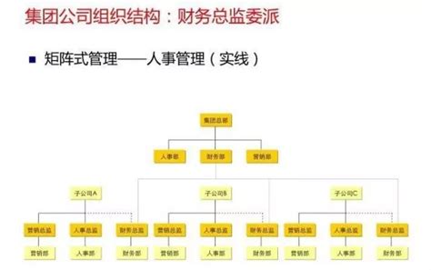 一份经典的财务部组织架构设计图公司财务部