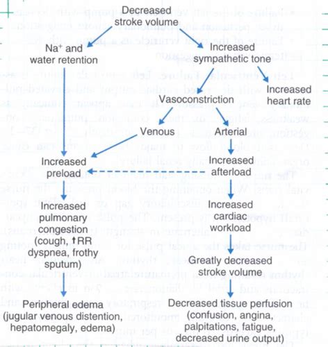 Complex Exam 1 Care Of Patient With HF Flashcards Quizlet