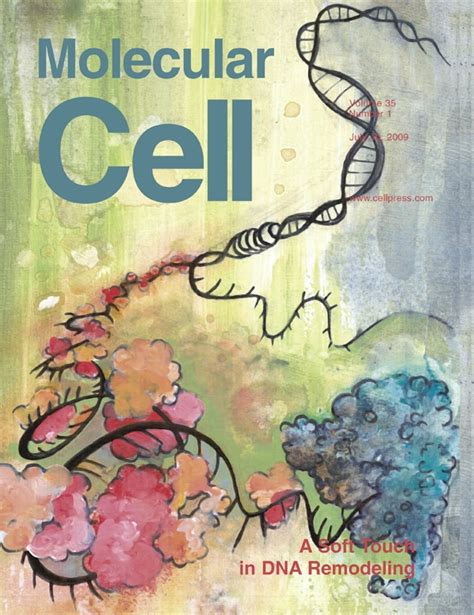 Cover Illustration Molecular Cell Avd