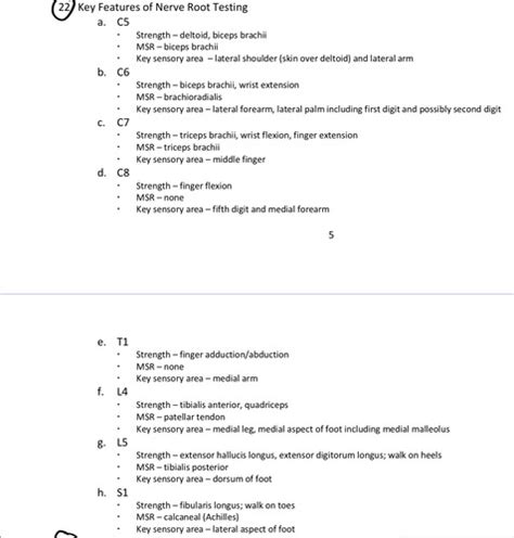 Back Anatomy Clinical Supplements Flashcards Quizlet