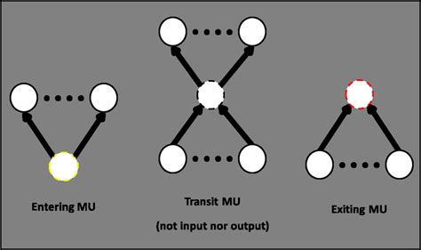 A Hypothetical Figure Shows The Type Of The MUs Represented By The