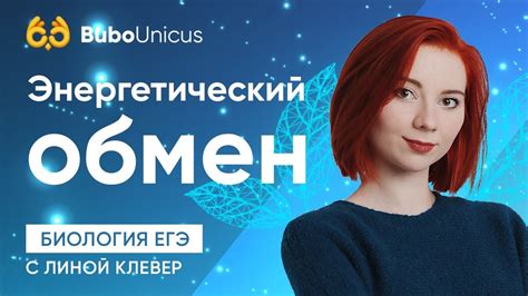 Энергетический обмен | БИОЛОГИЯ ЕГЭ | Лина Клевер - YouTube