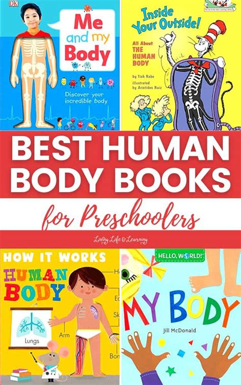 Best Human Body Books For Preschoolers