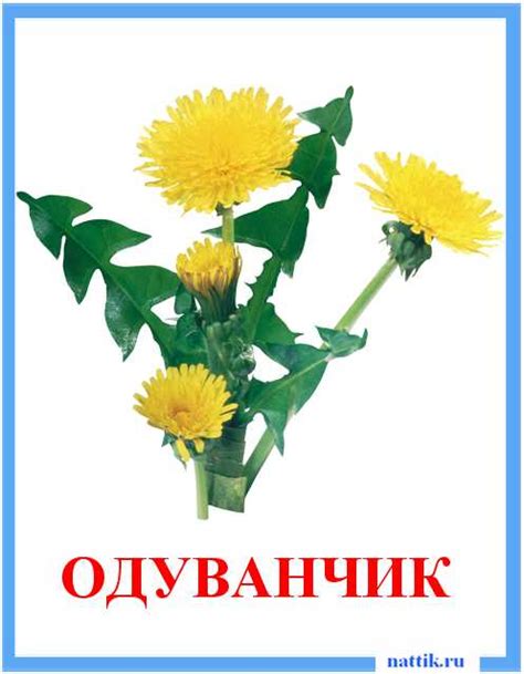 Карточки цветов для детей распечатать – Карточки Домана для изучения ...