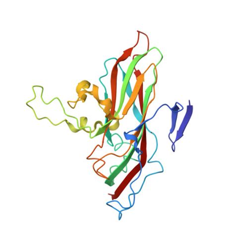 Rcsb Pdb J The Enterovirus Empty Capsid