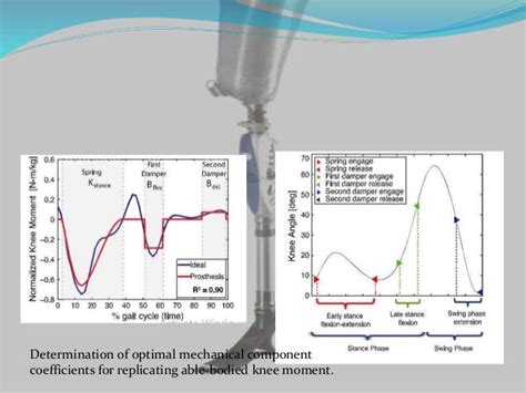 Designof A Fully Passive Prosthetic Knee