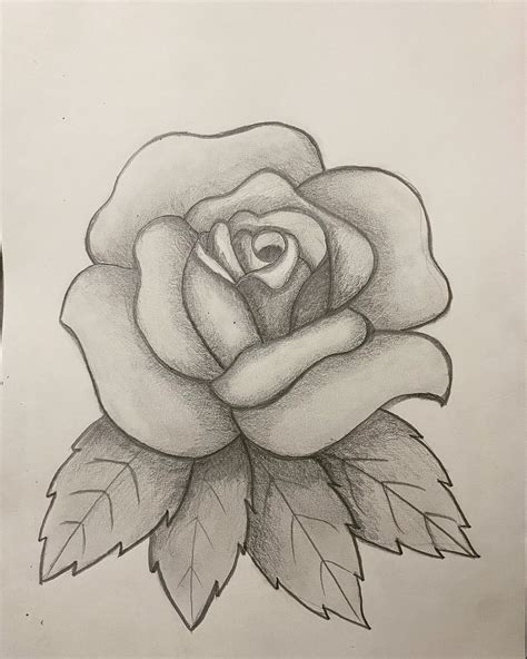 A4 Size Rose Sketch Ready to Hang. - Etsy