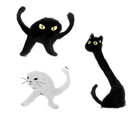 Cursed Cat Memes Cursed Animals - Draw-e