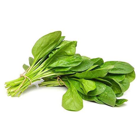 Buy Spinach F1 Hybrid Vegetable Seeds Online From Nurserylive At