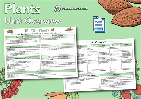 Year 3 Science Plants Unit Overview Grammarsaurus