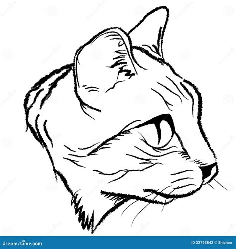 Cat Face Stock Vector Illustration Of Sketch Abstract 32793842