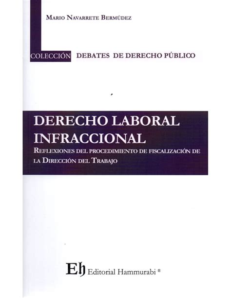 Derecho Laboral Infraccional Reflexiones Del Procedimiento De