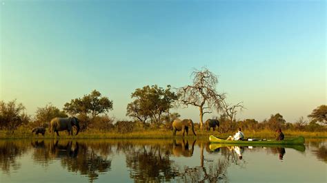 When Is The Best Time To Visit Botswana Jacada Travel