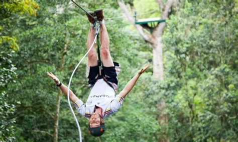 1 Day Mabira Forest Tour Best Zip Lining In Uganda