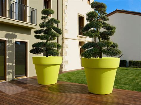 Plantas Para Macetas Grandes De Exterior Macetas Decoradas 2021