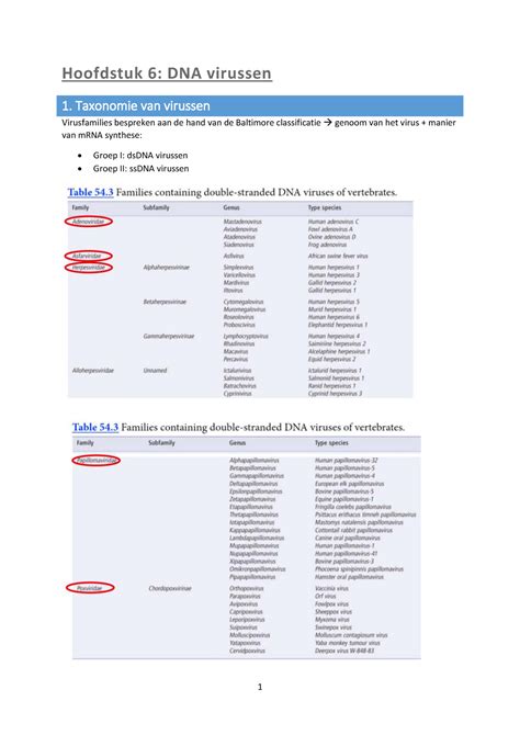 Microbiologie Deel 3 Hoofdstuk 6 DNA Virussen 1 Taxonomie Van