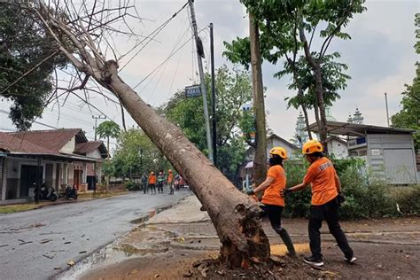 Angin Kencang Dan Hujan Lebat Di Bondowoso Puluhan Rumah Rusak Jawa Pos