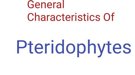 General Characteristics Of Pteridophytes Neet Tgt Pgt Biology Notes