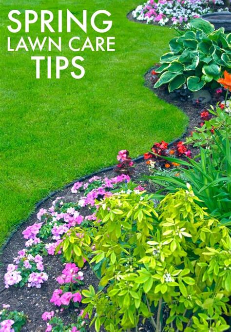 Spring Lawn Care Tips Simply Stacie