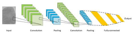 Architecture Of A Cnn Model Courtesy Of Yann Lecun 25 Download