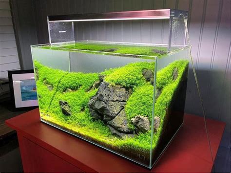 Design Nano Aquarium