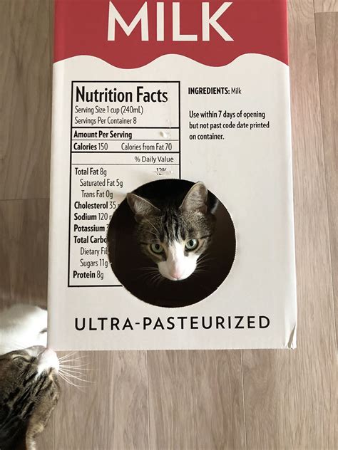 Cat Milk Nutrition Facts