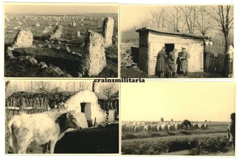 4X ORIG FOTO 11 PD Offiziere im DOBRUDSCHA Rumänien Bulgarien 1941