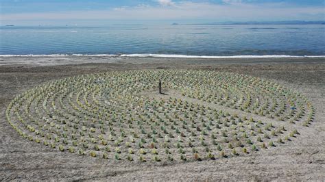 Environmentalists are protesting the new jones beach island dock 26