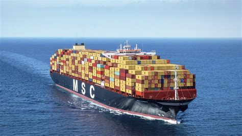 MSC Teams Up With GCMD To Accelerate Decarbonization