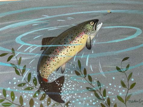 Watercolour Rainbow Trout Fish By Ralston Gudge... | Antikeo