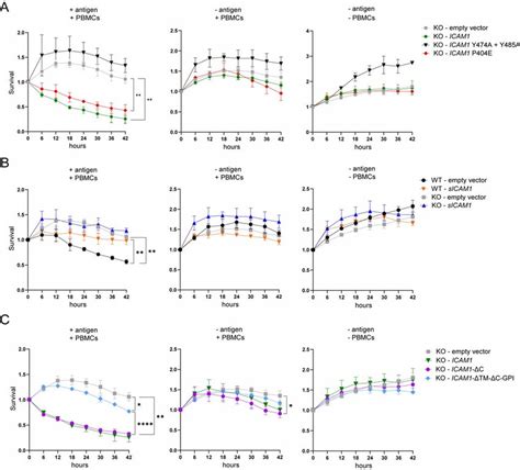 ICAM 1 Isoforms Differently Regulate Antigen Specific Tumor Cell