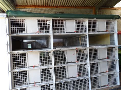 South Coast Pigeon Federation