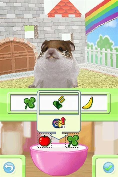 Petz Hamsterz Superstarz For Nintendo DS DSi 3DS