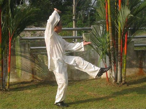 history  philosophy  baguazhang circle walking