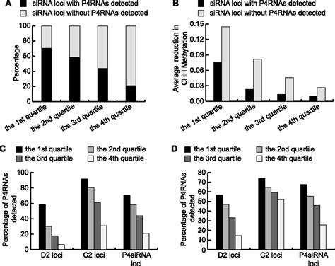 Detection Of Pol Iv Rdr Dependent Transcripts At The Genomic Scale In