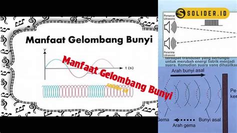 Temukan Manfaat Gelombang Bunyi Yang Jarang Diketahui Solider