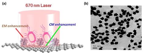 A Schematic Representation Shows The Hybrid Graphene Oxide Based SERS